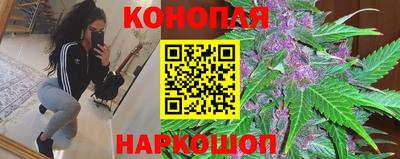 индика Ярцево